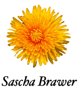 Sascha Brawer