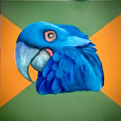 Paranoid Parrot